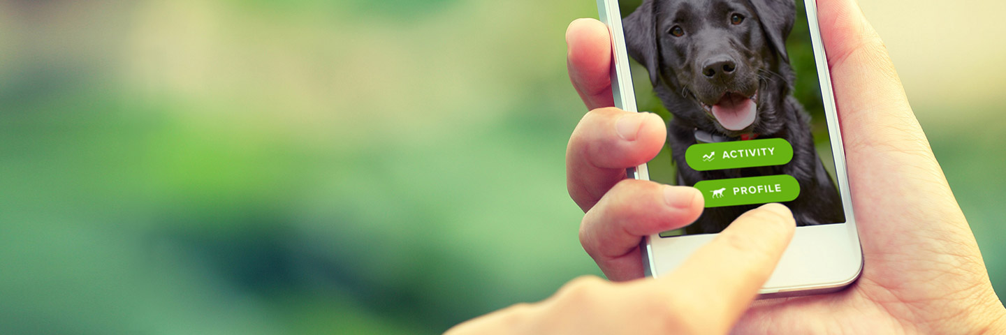 DogWatch of East Central PA, LLC, Lewisburg, Pennsylvania | SmartFence Slider Image