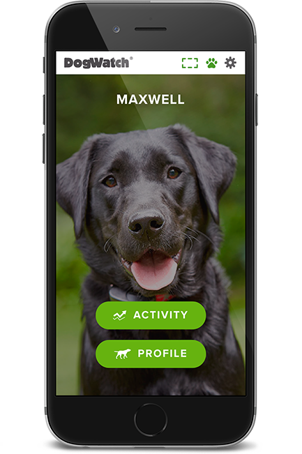 DogWatch of East Central PA, LLC, Lewisburg, Pennsylvania | SmartFence WebApp Image