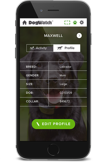 DogWatch of East Central PA, LLC, Lewisburg, Pennsylvania | SmartFence WebApp Image